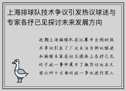 上海排球队技术争议引发热议球迷与专家各抒己见探讨未来发展方向