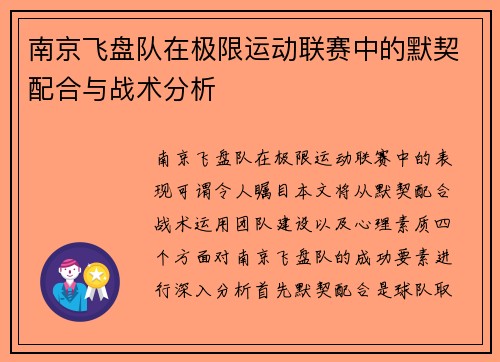 南京飞盘队在极限运动联赛中的默契配合与战术分析