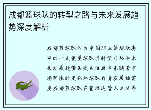 成都篮球队的转型之路与未来发展趋势深度解析
