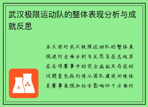 武汉极限运动队的整体表现分析与成就反思